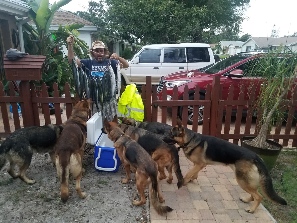 Checking out the catch of the day