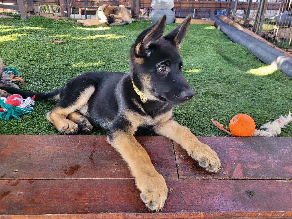 20251104_160209 (Medium)